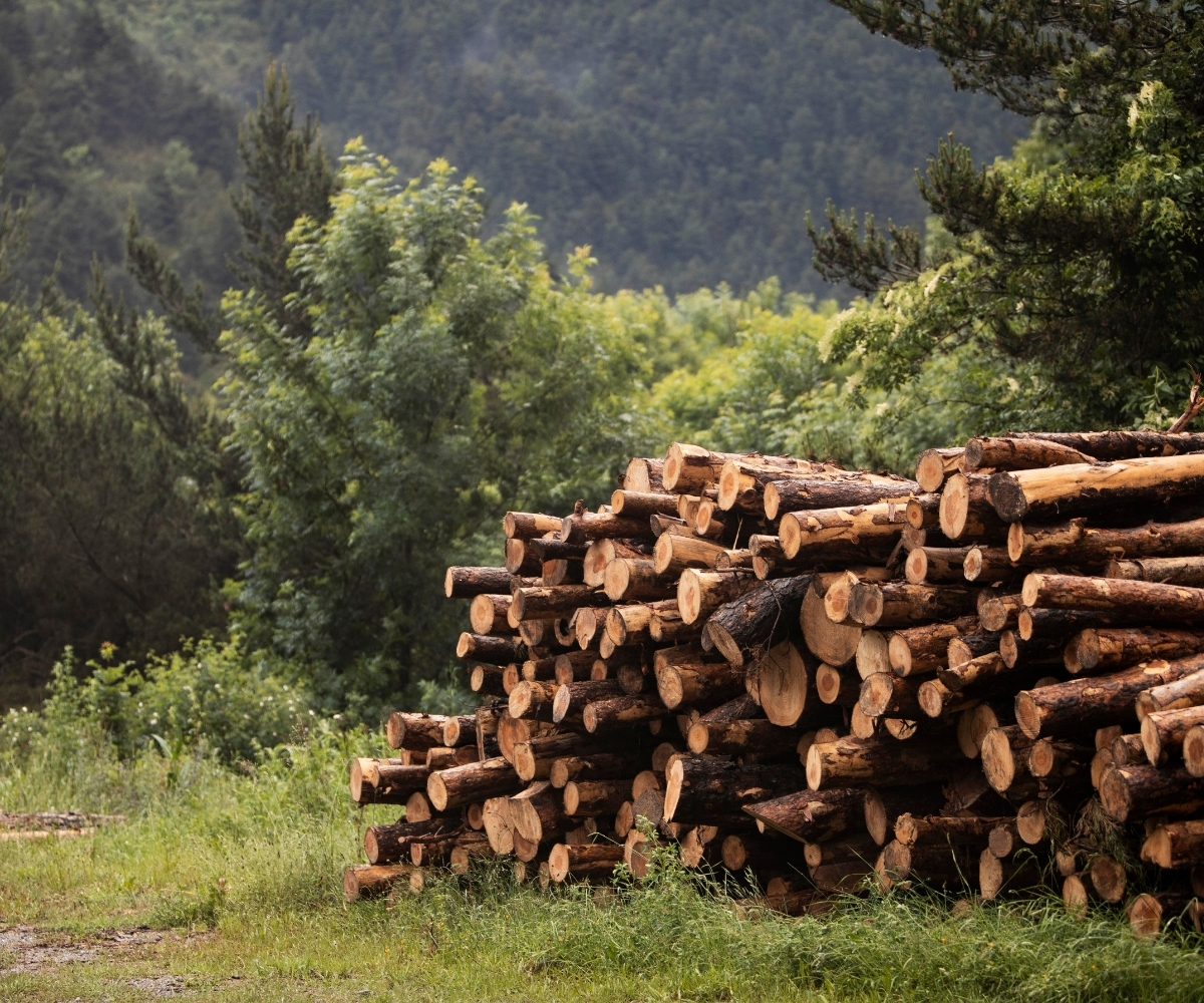 Documentos_Forestal