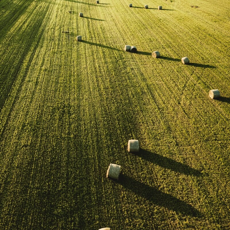 documentos agro